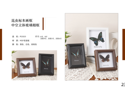 Polaroid Multi-Opening Grid Frame
